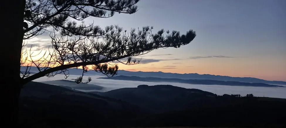 Klicka för att förstora