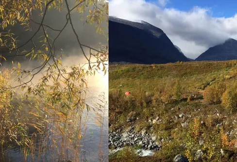 Höstdagjämning idag - vad är det bästa med hösten?