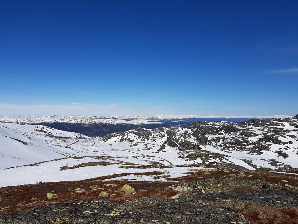 Klicka för att förstora