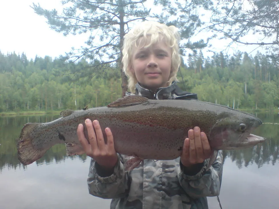 Klicka för att förstora