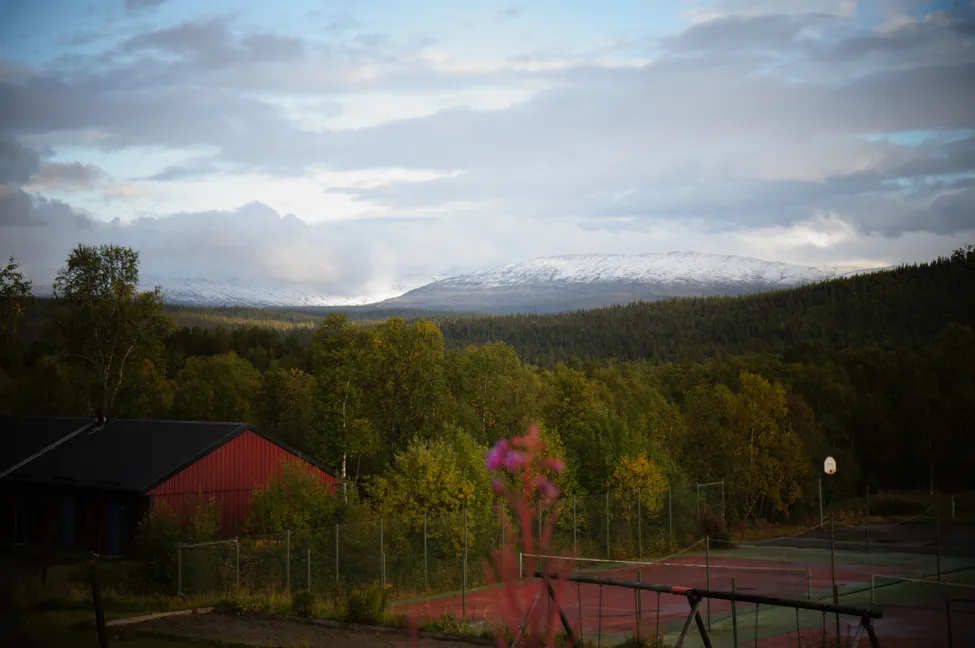 Klicka för att förstora