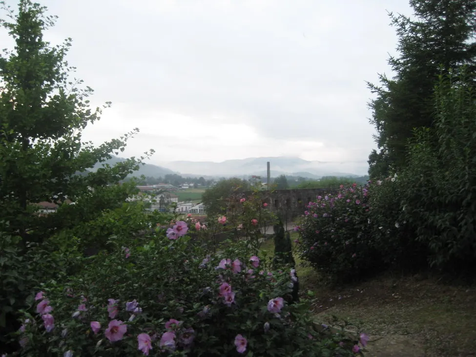 Klicka för att förstora