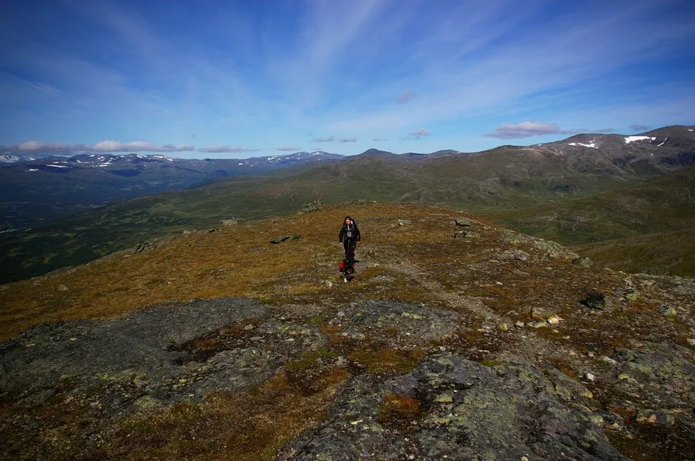 Klicka för att förstora