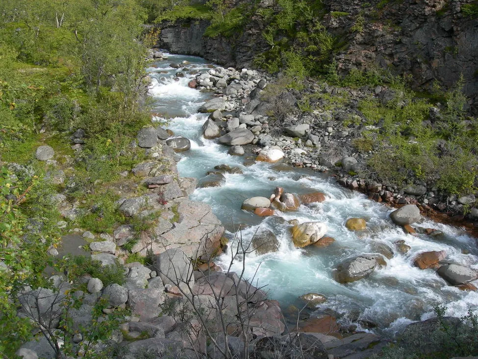 Klicka för att förstora