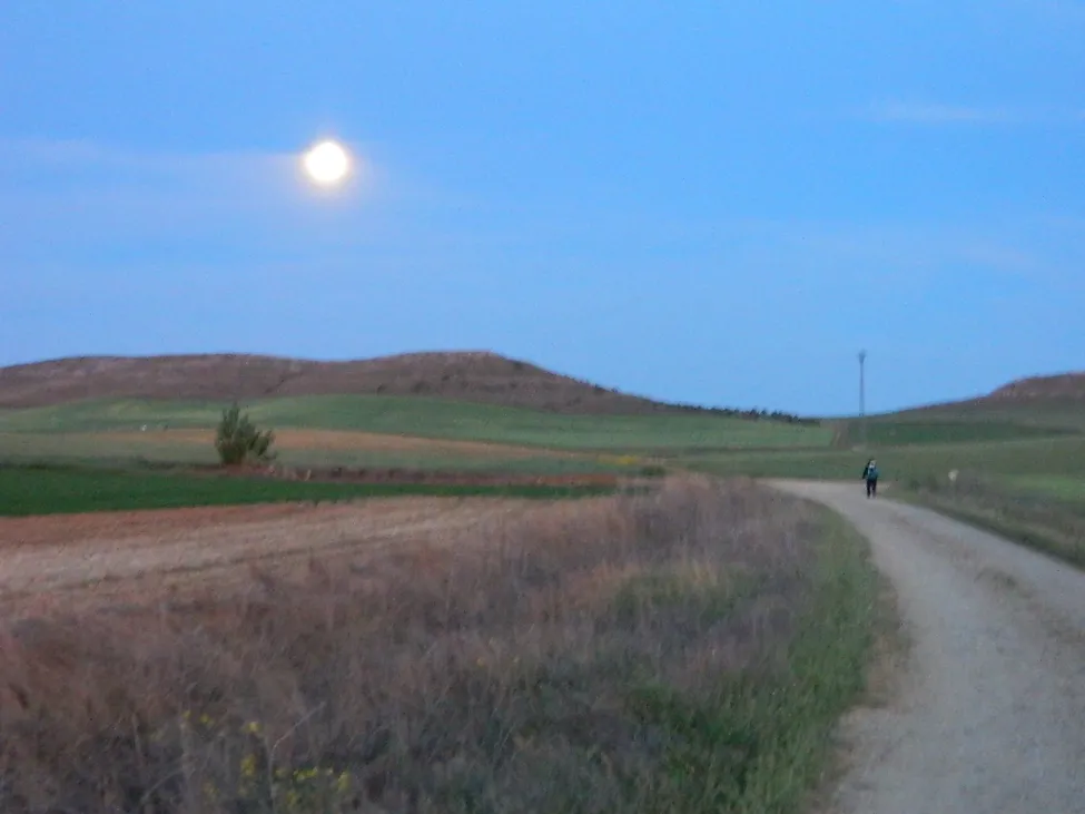 Klicka för att förstora