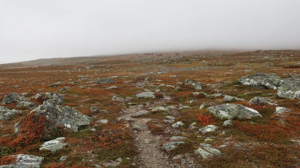 Klicka för att förstora