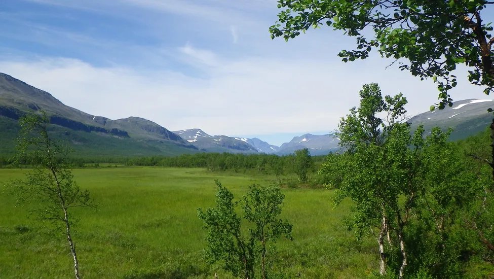 Klicka för att förstora