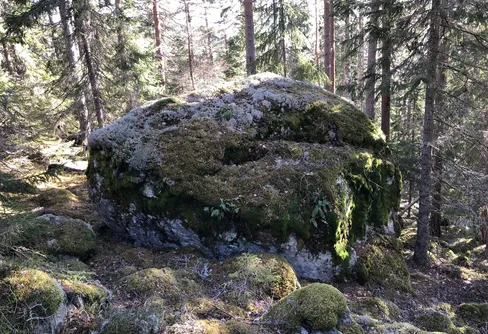 Skogsmulle lockar ut med en utmaning om dagen