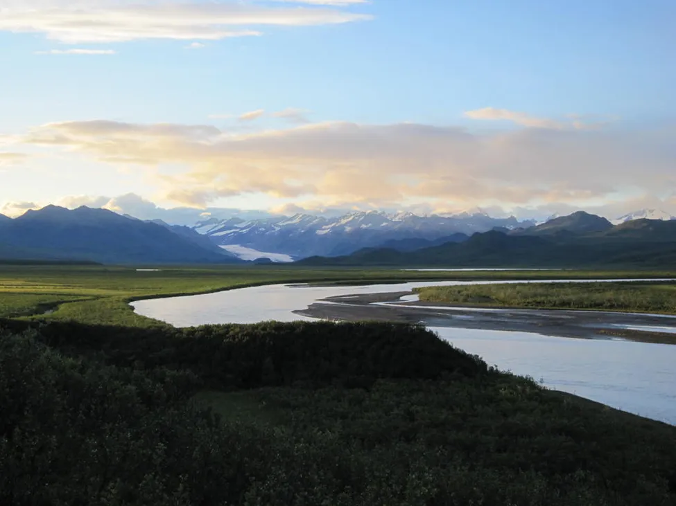 Klicka för att förstora