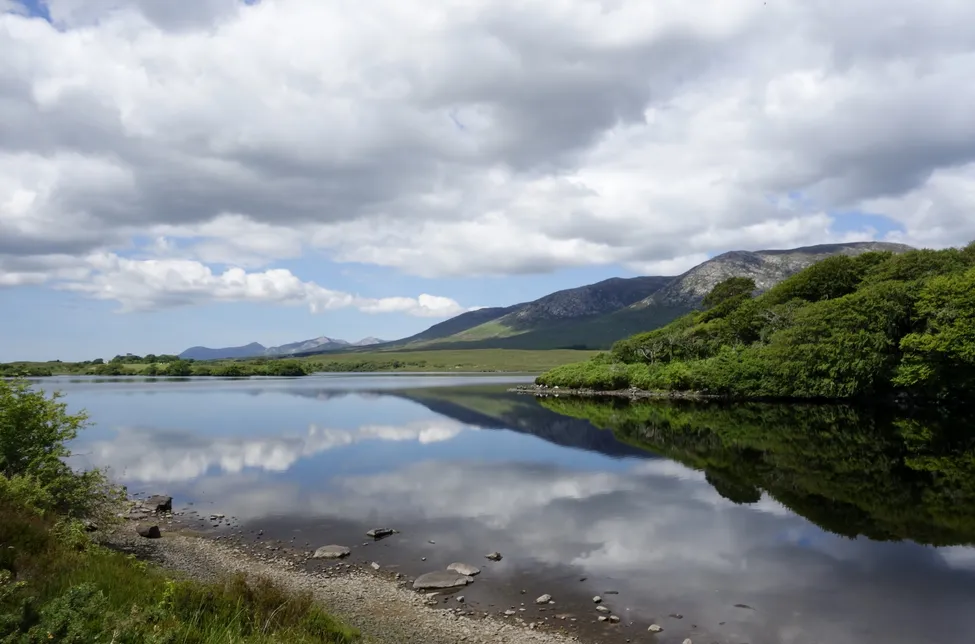 Klicka för att förstora