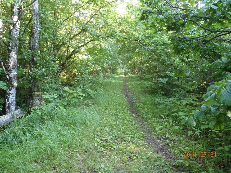 Klicka för att förstora