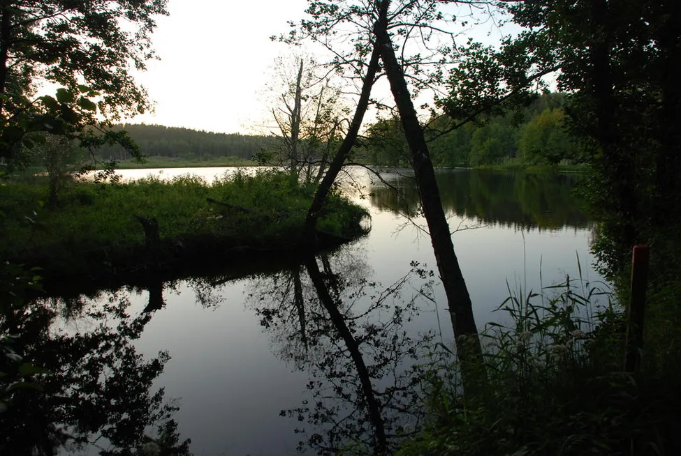Klicka för att förstora