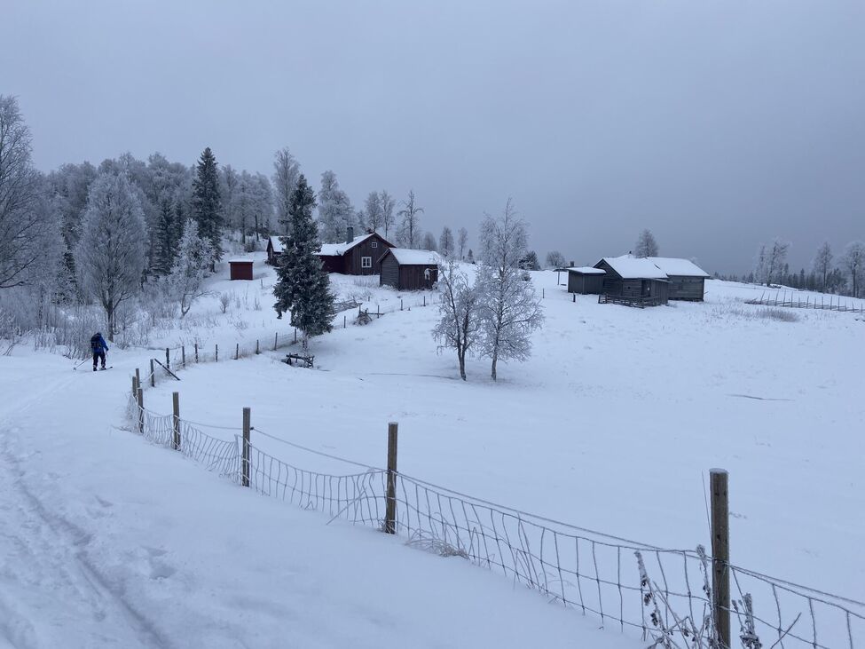 Klicka för att förstora