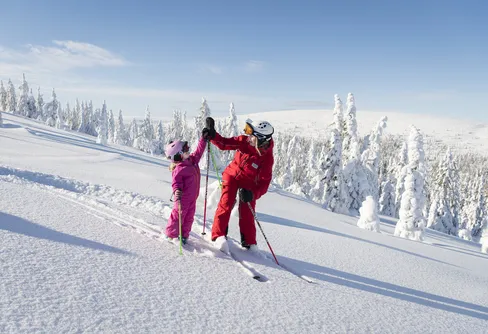 Stort intresse för säsongsarbete i fjällen