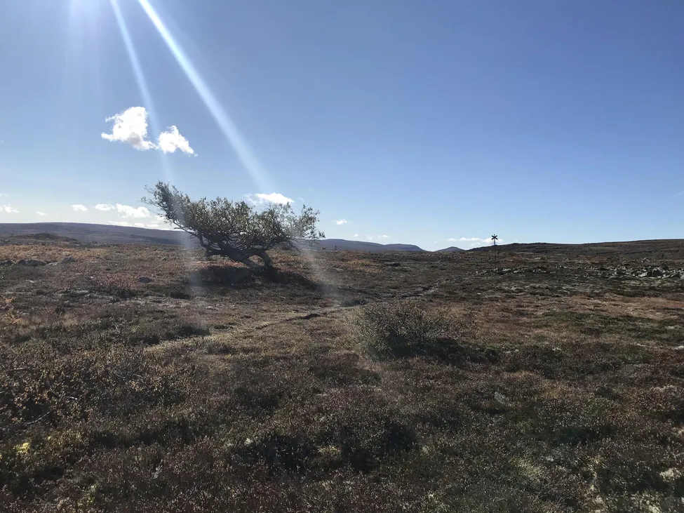 Klicka för att förstora