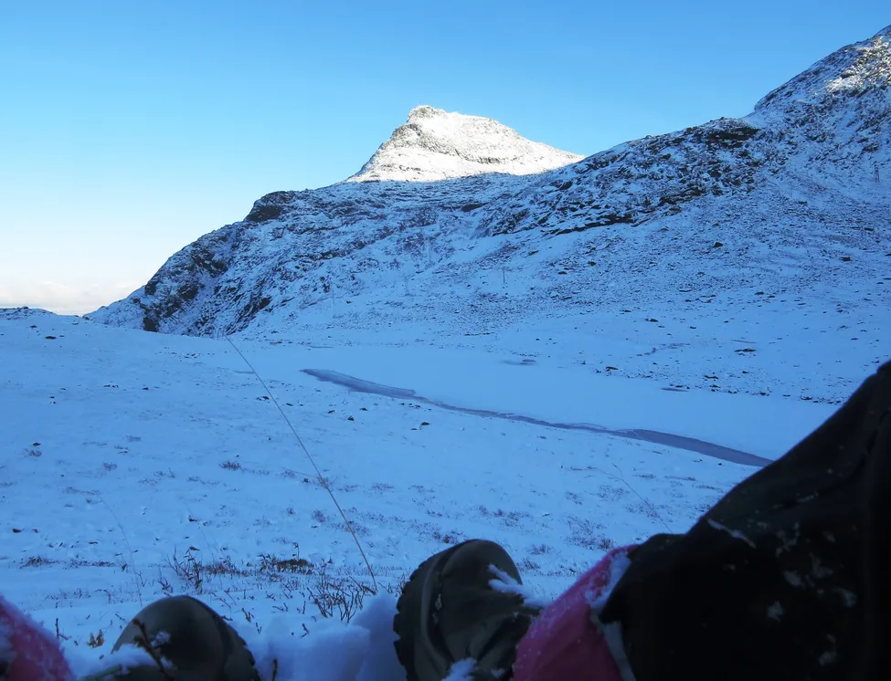 Klicka för att förstora