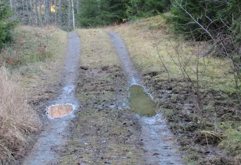 Stensjön med omnejd