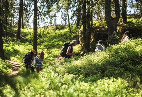 Stiftelsen arrangerar gratis vandringar