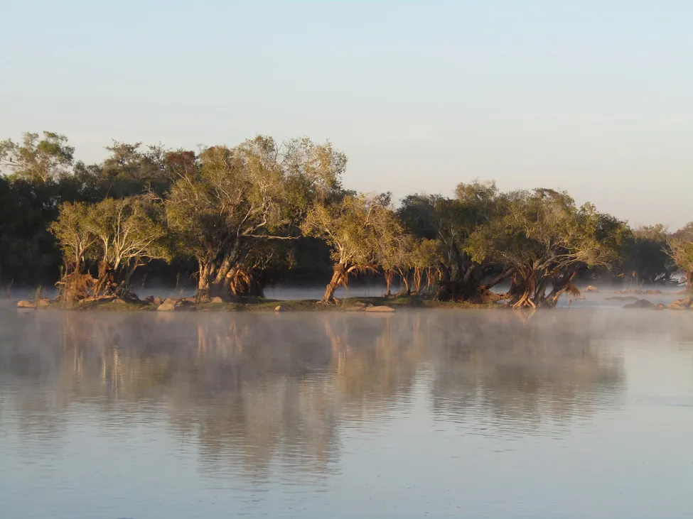 Klicka för att förstora