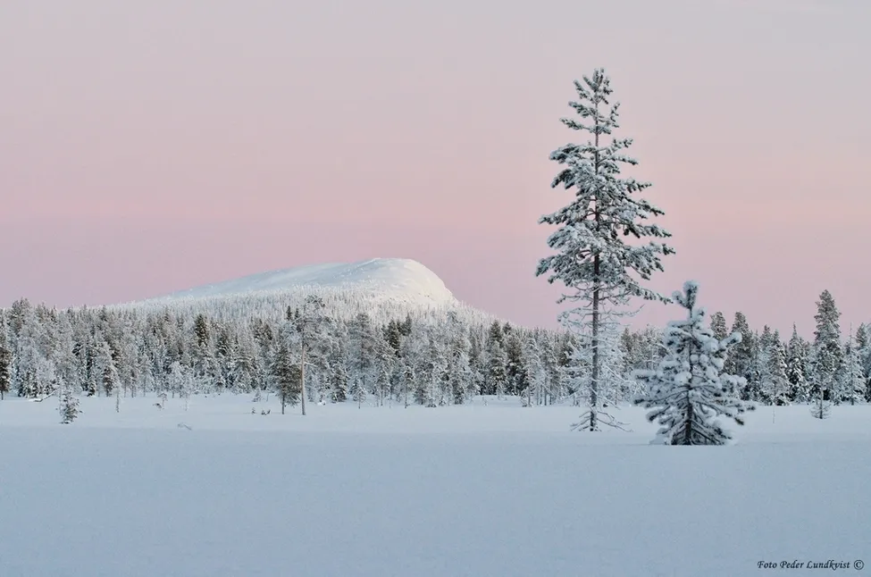Klicka för att förstora