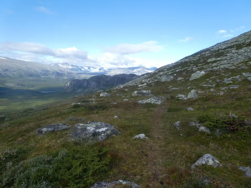 Klicka för att förstora