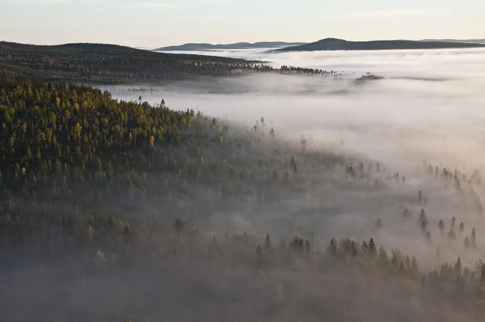 Klicka för att förstora