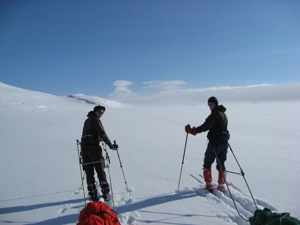 Klicka för att förstora