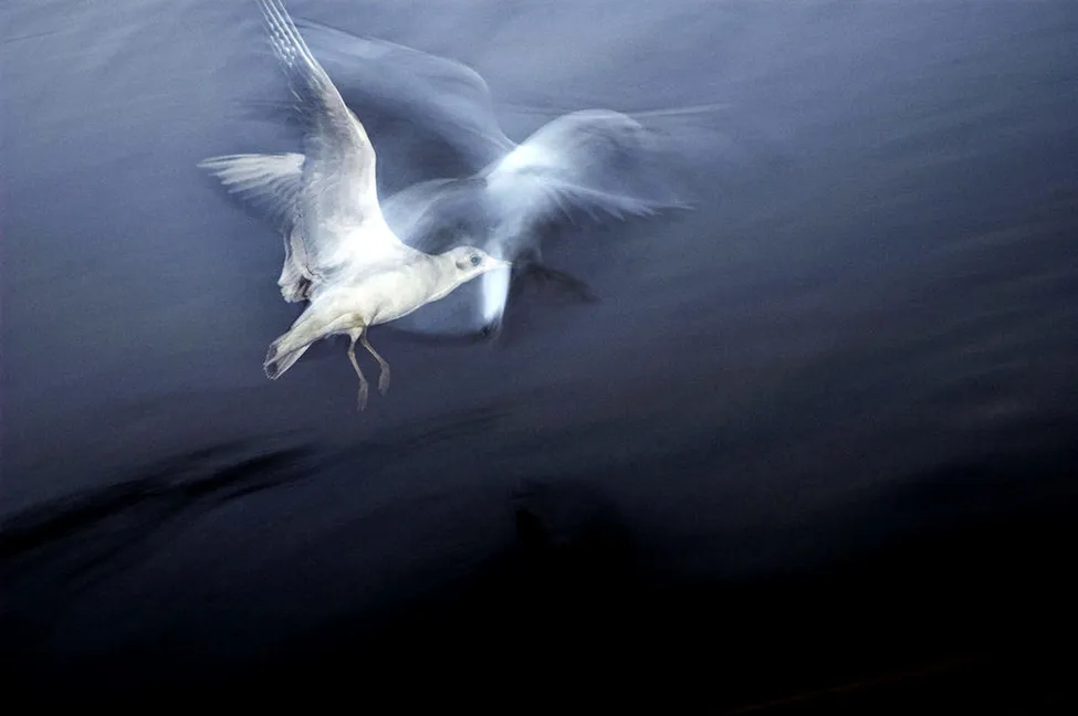 Klicka för att förstora