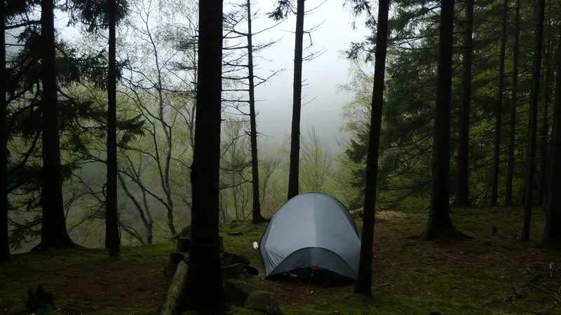 Klicka för att förstora