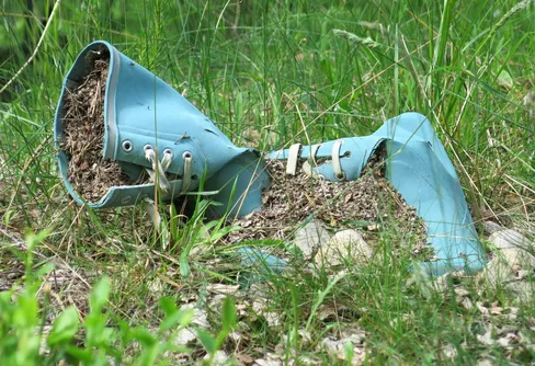 Hjulen rullar vidare