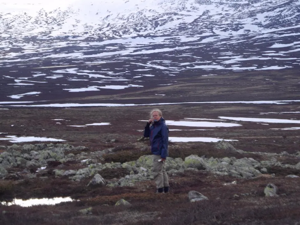 Klicka för att förstora