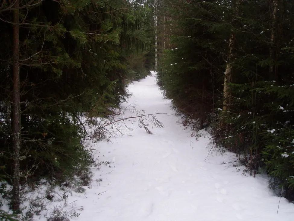 Klicka för att förstora