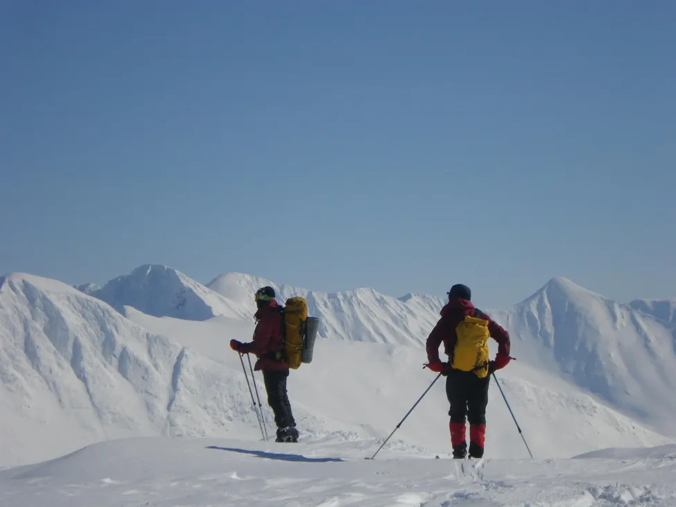 Klicka för att förstora