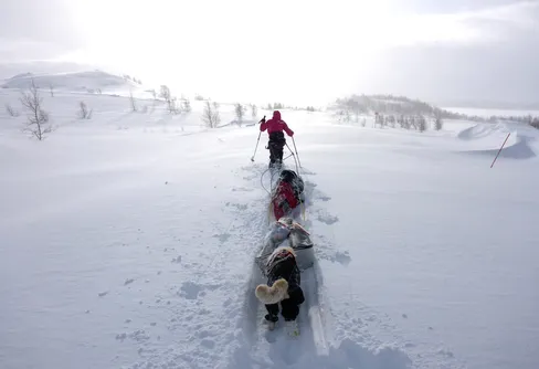 Ett stort äventyr har börjat