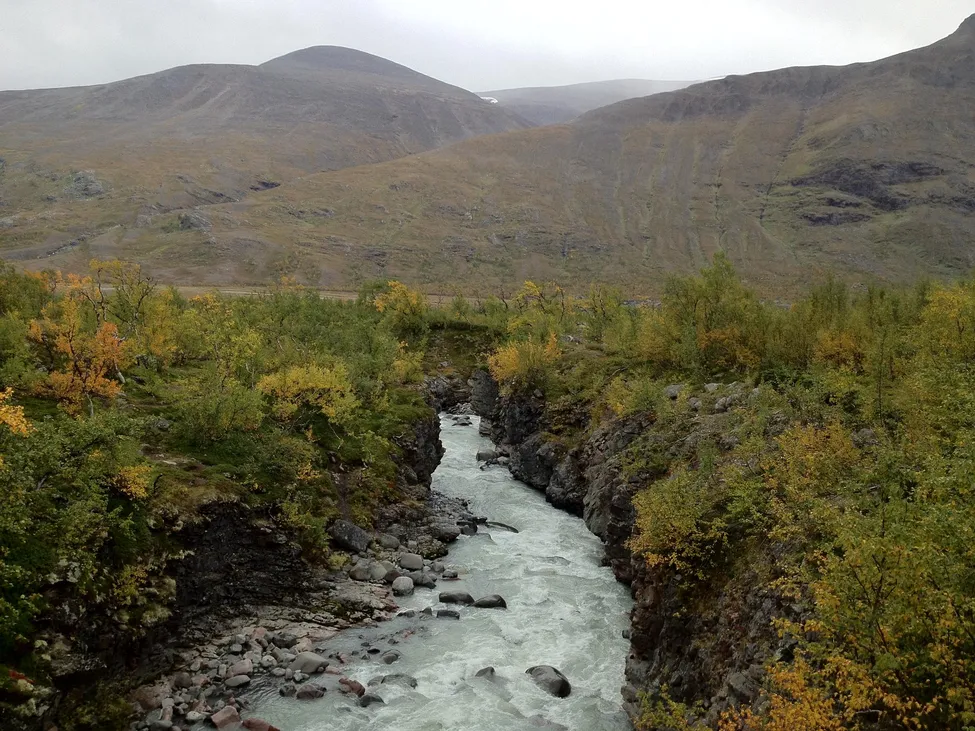 Klicka för att förstora