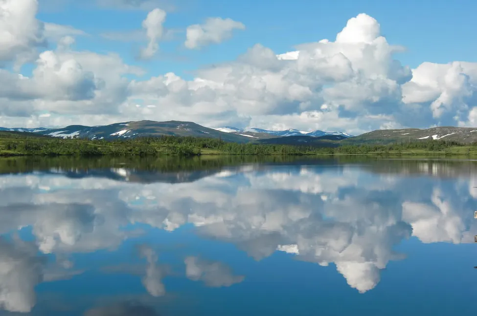 Klicka för att förstora