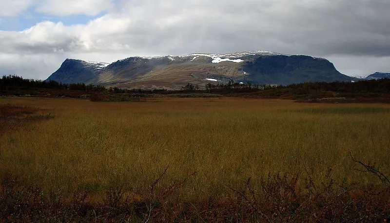Klicka för att förstora