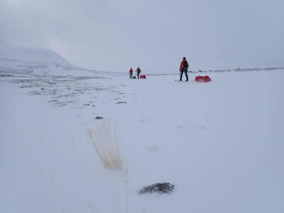 Klicka för att förstora