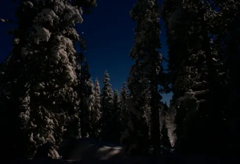 Övernattning i månsken