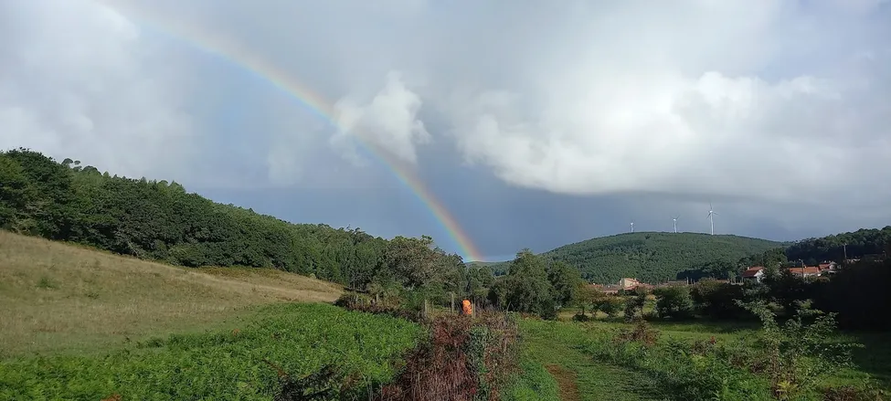 Klicka för att förstora