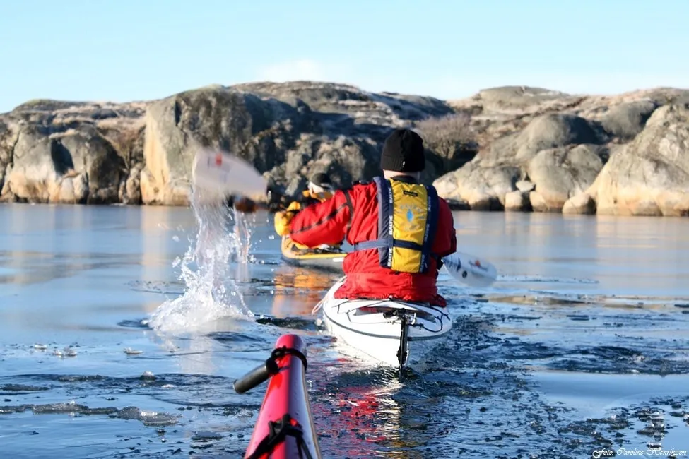 Klicka för att förstora