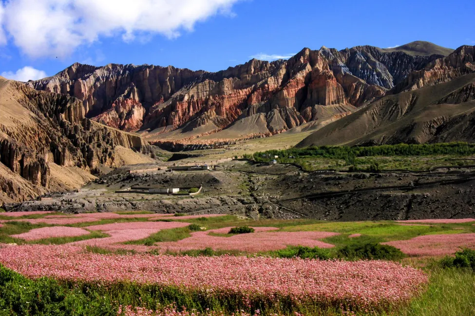 Klicka för att förstora