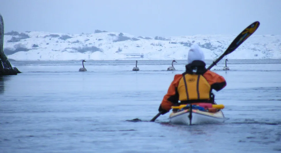 Klicka för att förstora
