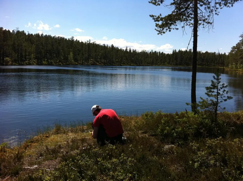 Klicka för att förstora