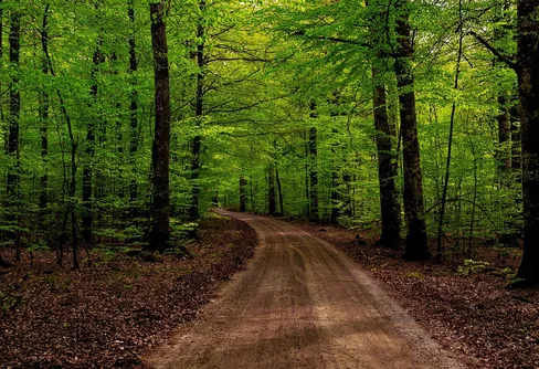 Olofström är Sveriges friluftskommun 2021