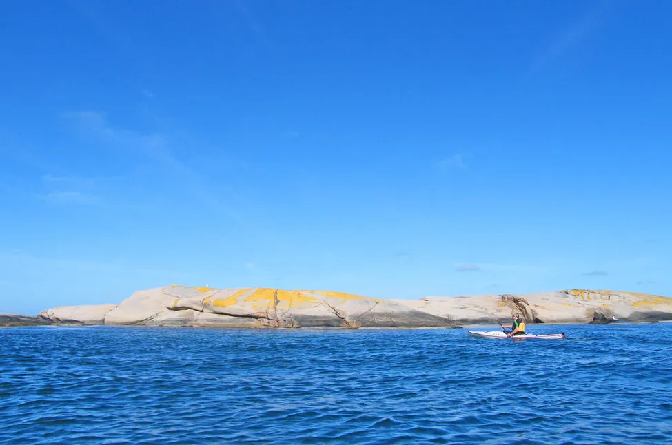 Klicka för att förstora