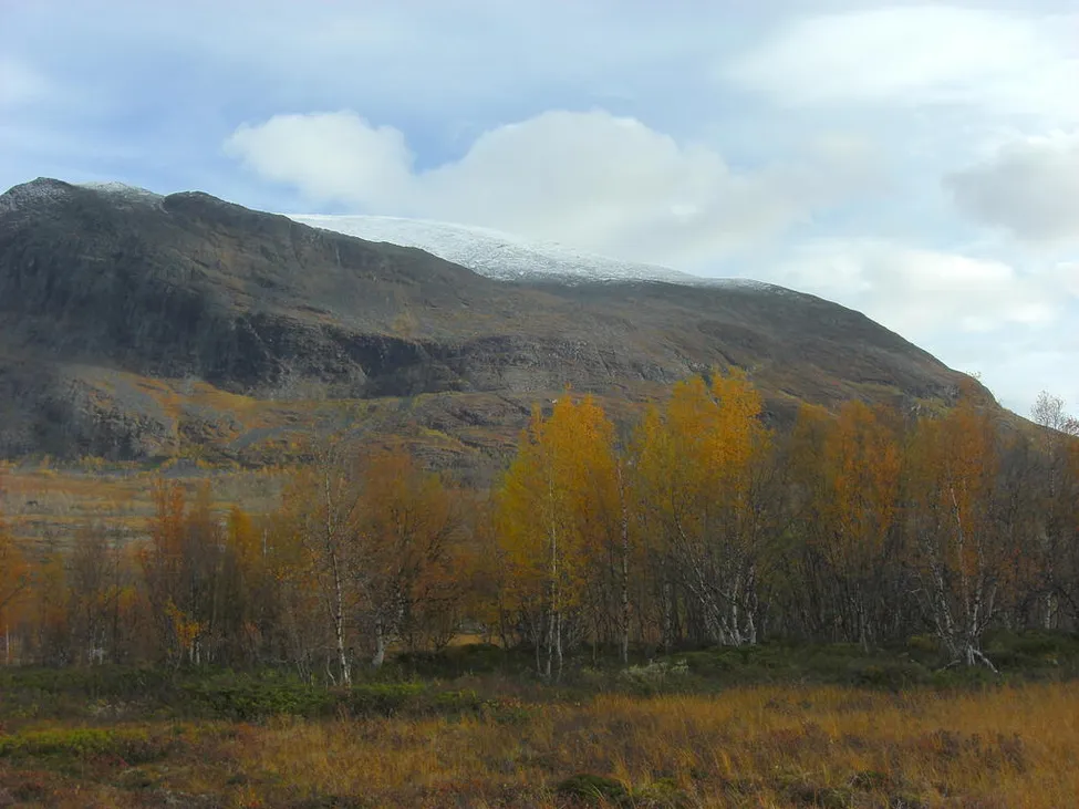 Klicka för att förstora