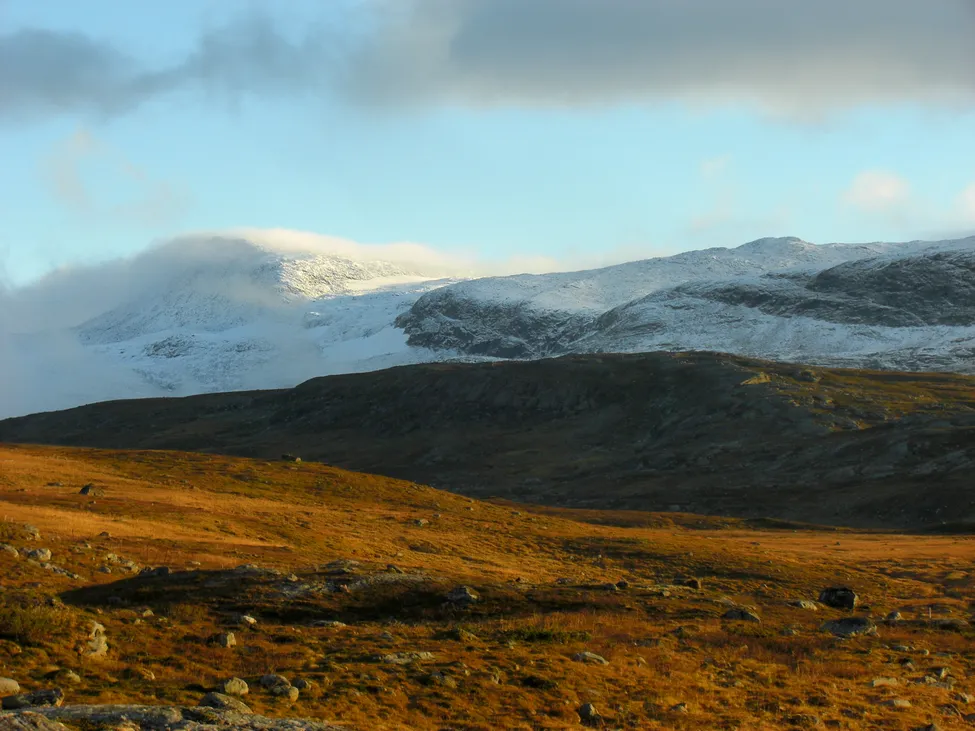 Klicka för att förstora