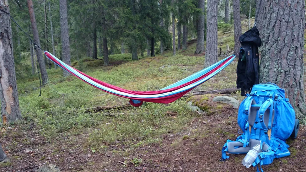 Klicka för att förstora