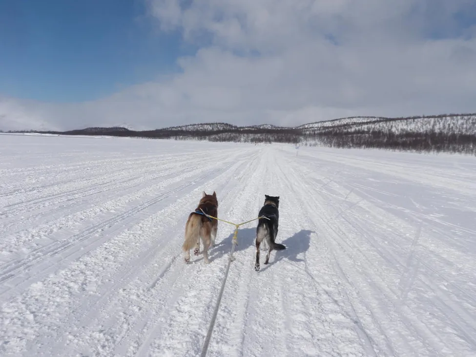 Klicka för att förstora